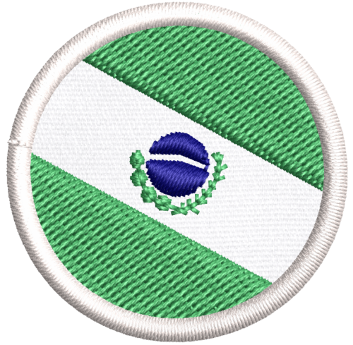 Patch bordado Bandeira Paraná 4x4cm